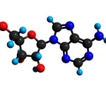 What is Adenosine Kinase?
