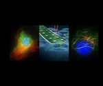 Olympus and Cytosurge collaborate to deliver a complete single-cell and CRISPR genetic manipulation solution in the Americas