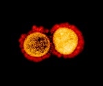 Supporting Coronavirus Research with Liquid Chromatography