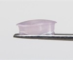 Manipulating 3D Printed Organoid Microenvironments