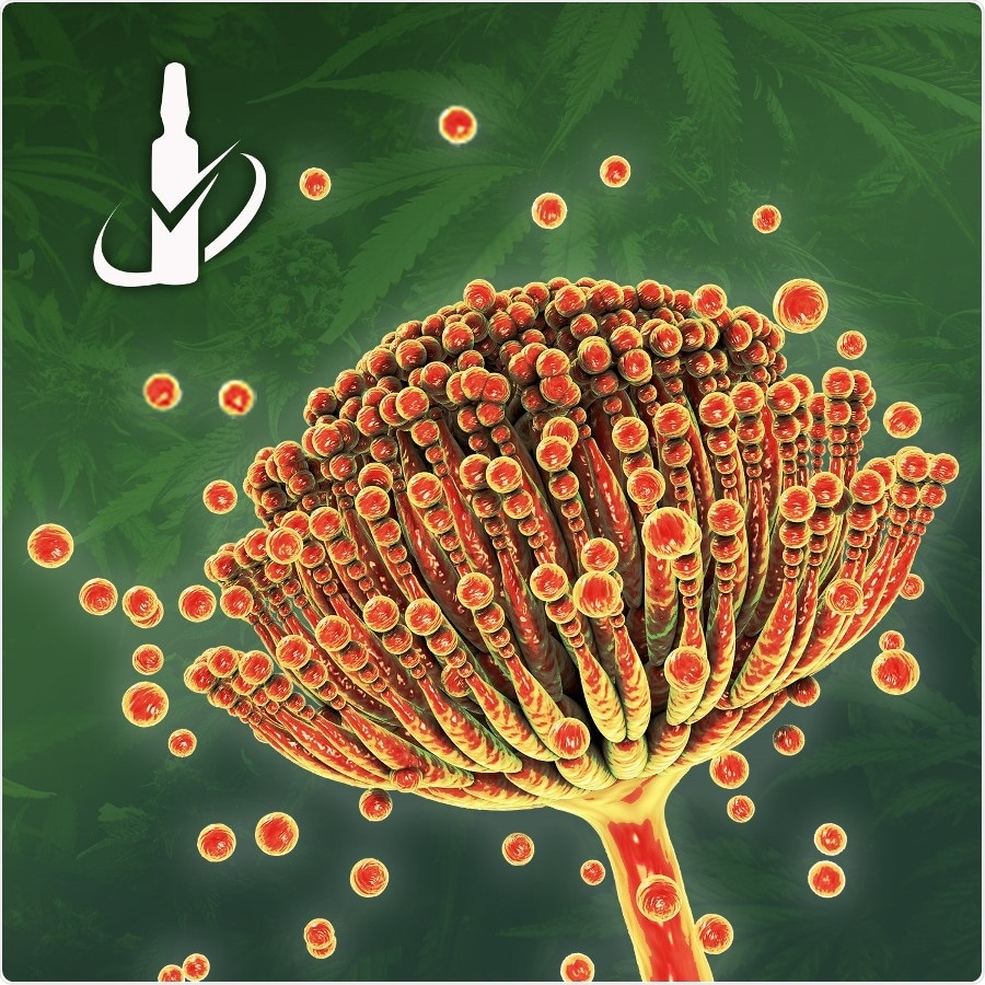 Target mycotoxins in cannabis with Restek’s new Ochratoxin A & Aflatoxins standards