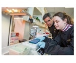 Gain Flexibility in Virology Research with a Pipetting Robot