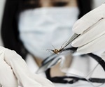 Genetically engineered mosquitoes to be released in Florida Keys