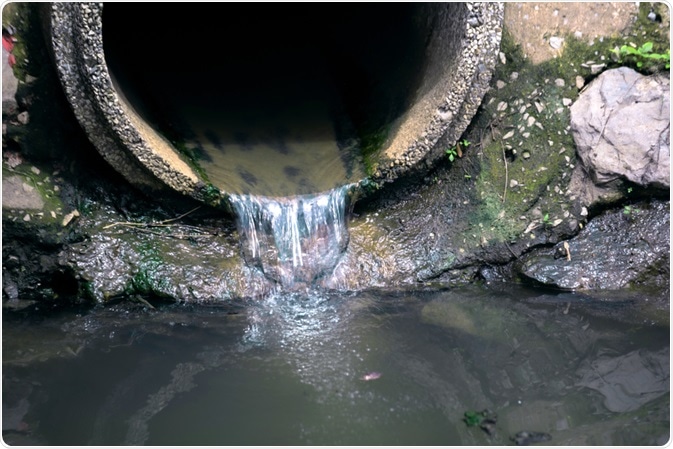 Sewage Sewage
