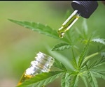 How to Detect Synthetic Cannabinoids in Hair
