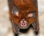 Genomic analysis reveals many animal species vulnerable to SARS-CoV-2
