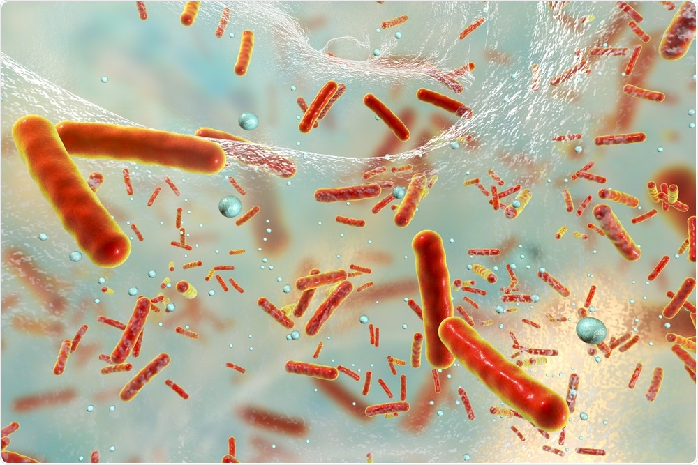 Biofilm