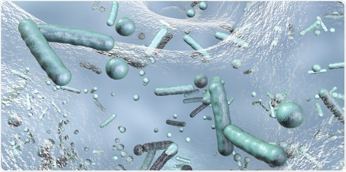 Antibiotic Resistant Bacteria Antibiotic Resistant Bacteria