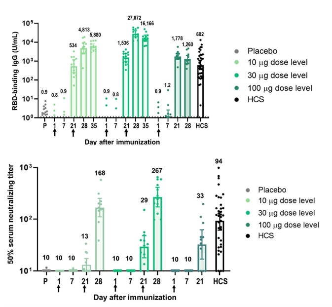 Immunogenicity of BNT162b1.