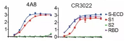 Binding curves of representative mAbs.