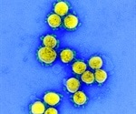 SARS-CoV-2 infection severity linked to superior humoral immunity against the S-protein