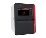 Multiplex Fluorescent Western Blot Detection