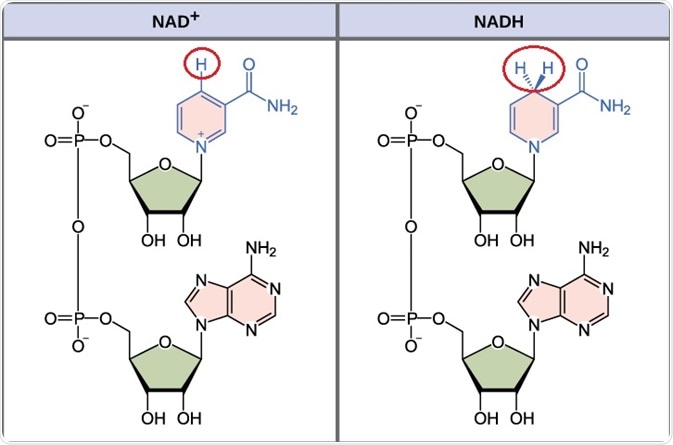 NAD+