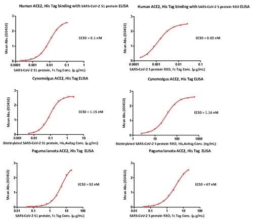 ELISA Binding activity results.
