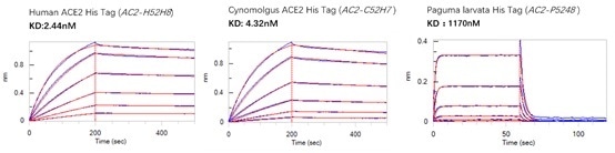 BLI binding activity results.