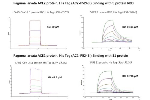 SPR binding activity results.