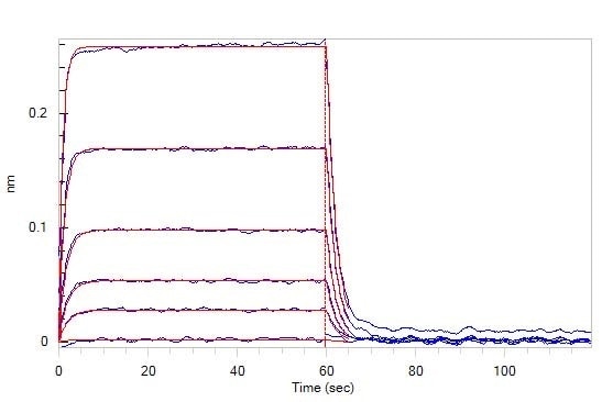 Loaded Human TIGIT, Fc Tag (Cat. No. TIT-H5254) on Protein A Biosensor, can bind Human CD155, His Tag (Cat. No. CD5-H5223) with an affinity constant of 0.98 μM as determined in BLI assay (ForteBio Octet Red96e).