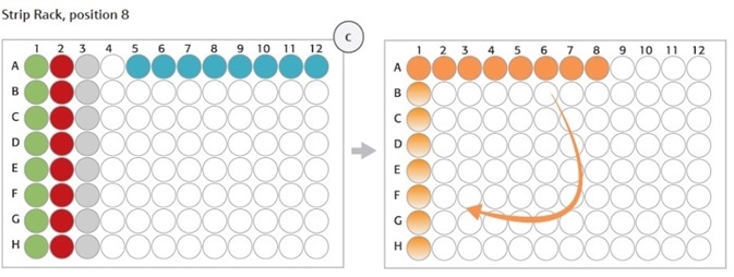 (C) Strip rack layout (position 8, deck layout day 1): After digestion of gDNA (step 1) Enzyme Strips (red and green), RE-Mastermix Strip (grey) and DNA template Strip (blue) are discarded and replaced by Hybridization Strip (orange). For hybridization DNA samples were pooled in Hybridization Strip (orange). The Strip was rotated manually (light orange) before adding the HaloPlex ION Barcode Primer Cassette. Sample concentrations measured by the TapeStation were approximately equal: 150.6 nmol/l for patient sample 115, 128.1 nmol/l for patient sample 116 and 126.3 nmol/l for patient sample 117.
