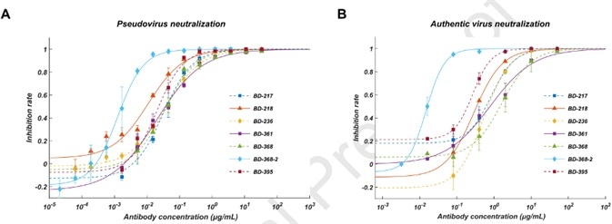 Pseudovirus neutralization result; B. Authentic virus neutralization result.