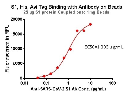S1,His,Avi Tag Binding with Antibody on beads.