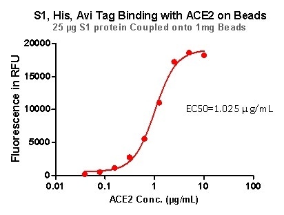 S1,His,Avi Tag Binding with ACE2 on Beads.