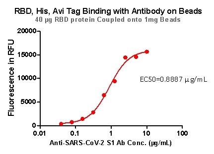 RBD,His,Avi Tag Binding with Antibody on beads.