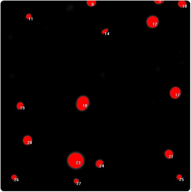 a) Green fluorescent colony count analysis