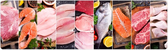 Meat and Fish Meat and Fish