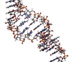 Discovering a molecule that could interfere with SARS-CoV-2 replication
