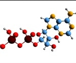 What is Dehydration Synthesis?
