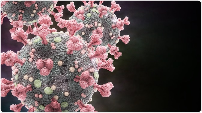 SARS-CoV-2 Virus