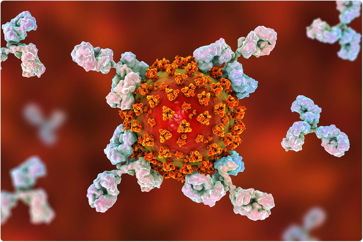 Study: Seroconversion against SARS‐CoV‐2 occurred after the recovery in patients with COVID‐19. Image Credit: Kateryna Kon / Shutterstock