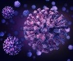 Ineffective immune responses may be responsible for COVID-19 mortality rates in men and the elderly