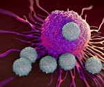 Exponential rise in COVID-19 hospitalization risk with age due to waning T cell immunity