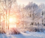 Evaporation is critical for coronavirus transmission in colder months