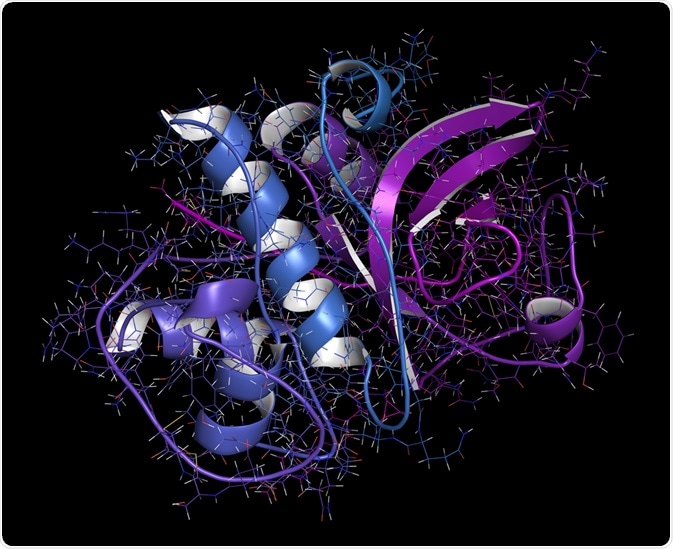 Cathepsin K