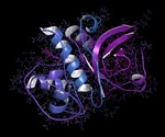 What are Cathepsins (CTS)?