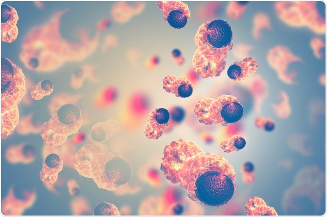 Cancer Cells