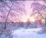 Will COVID-19 become a seasonal virus?