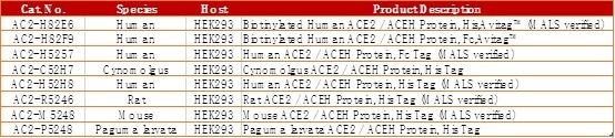 SARS-CoV-2 Spike D614G Mutant is More Transmissible than Other Mutants