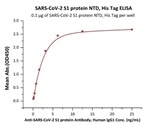 N Terminal Domain of S1 Protein: Potential Target for Coronavirus