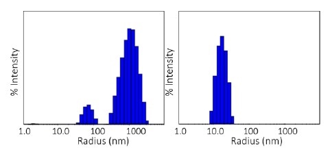 Size distributions obtained at 80 °C via regularization. Left: pH 8.5; right: pH 9.5. Size distributions obtained at 80 °C via regularization. Left: pH 8.5; right: pH 9.5.