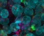 Leica Microsystems and Imperial College London Launch the Leica and Imperial Imaging Hub