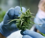 Challenges of Cannabis Analysis and Impacts on Driving and Public Health