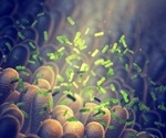 Probiotics as adjuvant therapy for COVID-19 patients
