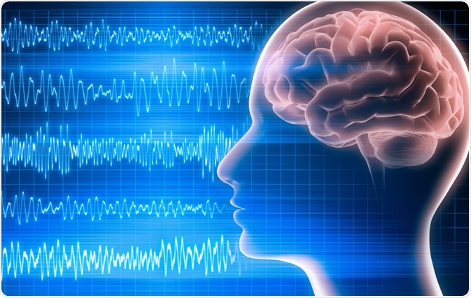 brain waves