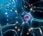 What is the Nervous System?