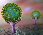 Promising nanobodies against COVID-19 produced by llamas
