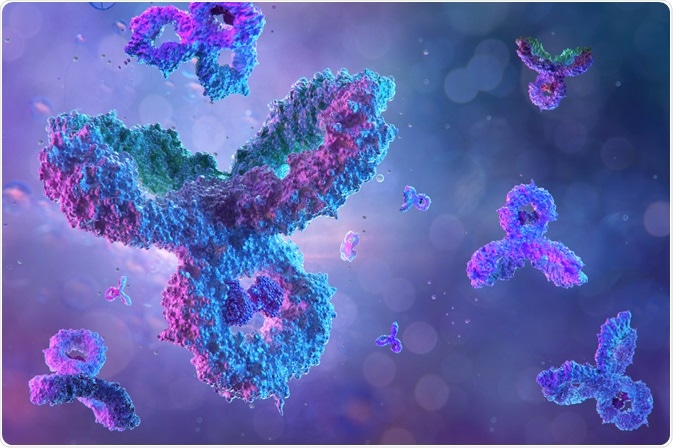 antibodies