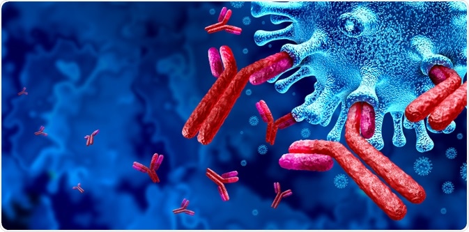 antibodies
